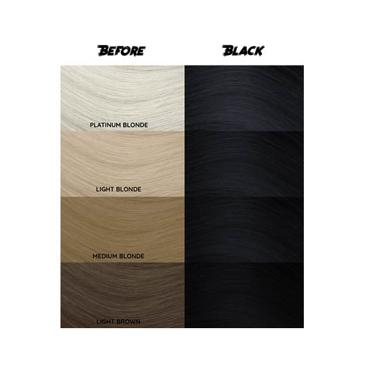 Crazy Color Black Tinte