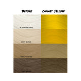Crazy Color Canary Yellow Tinte