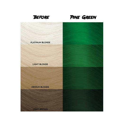 Crazy Color Pine Green Tinte